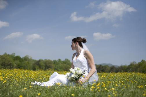 photo of E Leise Photo Design
