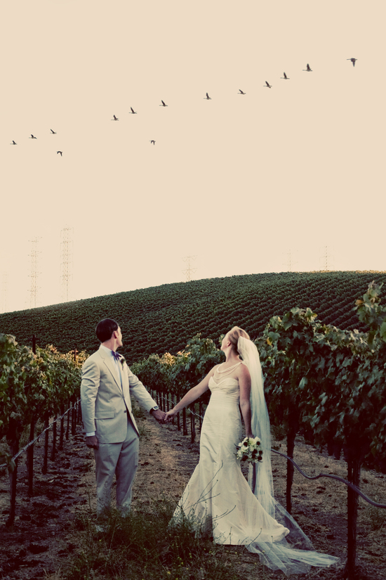 photo of Ting Photography and Design