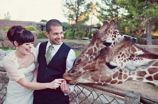 photo of Brushfire Photography LLC