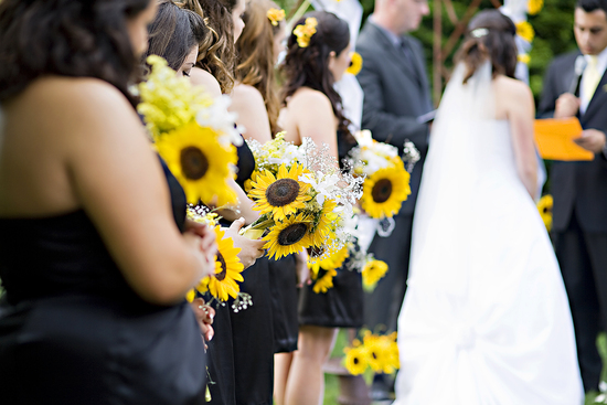 photo of Catara Carrell Photography