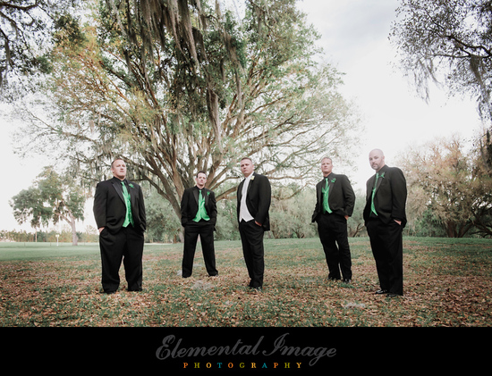 photo of Elemental Image