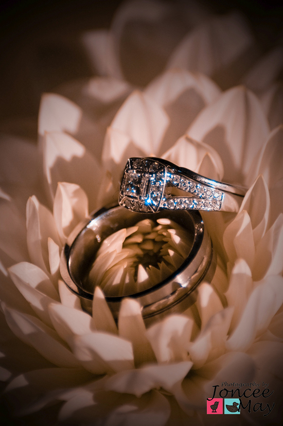 photo of Photography by Joncee May