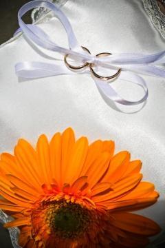 photo of Chicago Wedding Engagement Photographer-Gia Photos