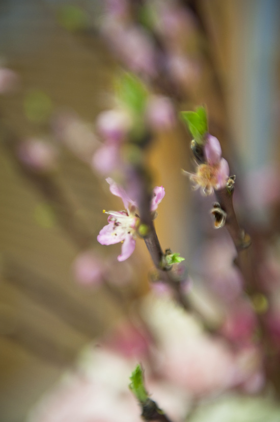 photo of Angela Crowe Photography