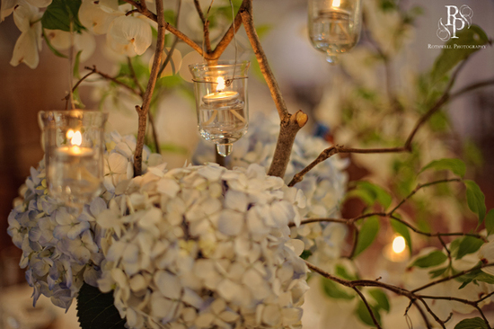 photo of Rothwell Photography