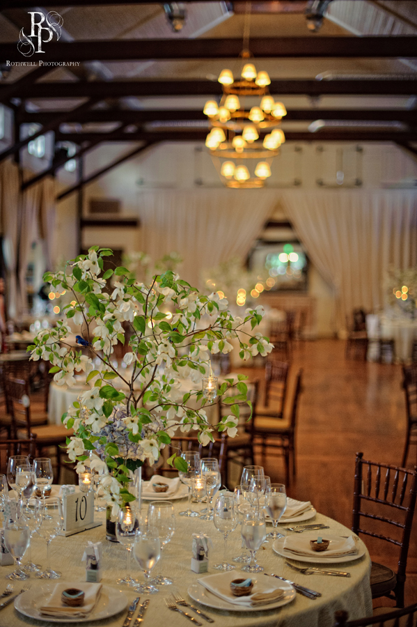 photo of Rothwell Photography