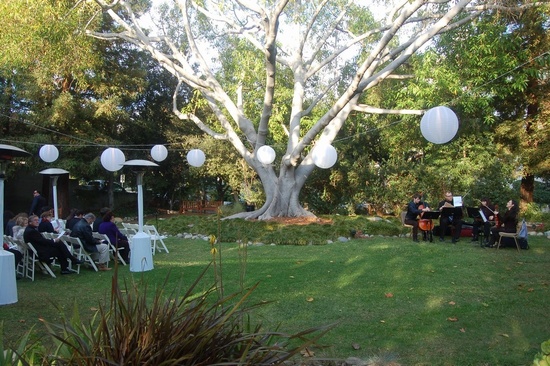 photo of Organic String Quartet