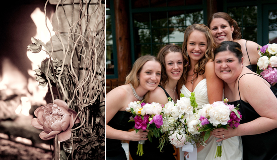 photo of Nicolette Dixon Photography