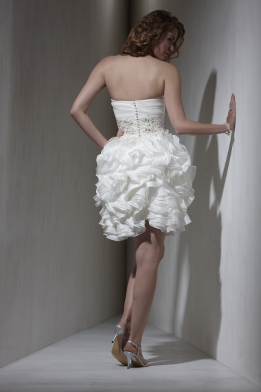 photo of 5580 Dress