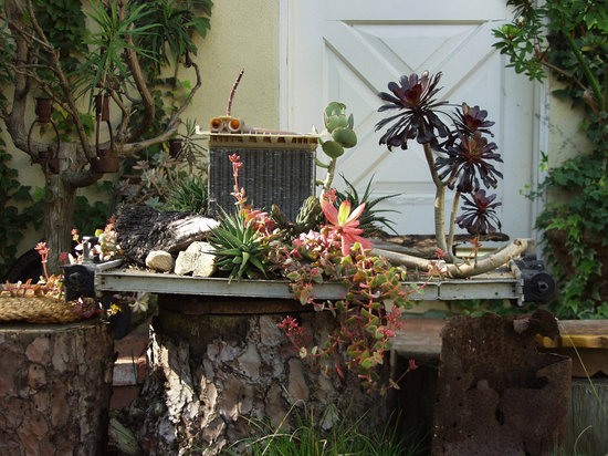 photo of The Plant Artist