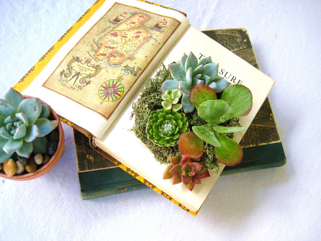 Simple-wedding-centerpieces-for-a-handcrafted-wedding-succulent-centerpiece-with-vintage-books.full