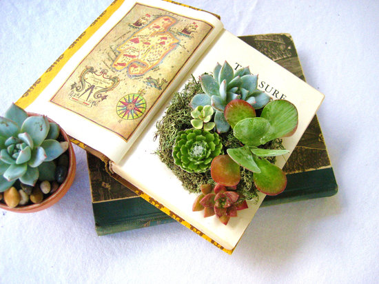 photo of Rooted in Succulents