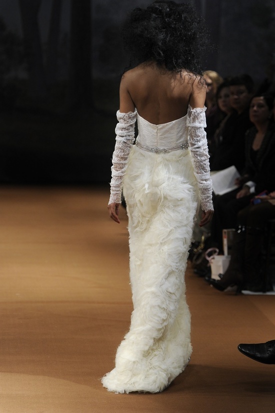 photo of Delfina