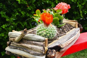 Bamboo-planter-for-wedding-reception-centerpieces-succulents.medium