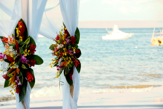 photo of Beachy Bamboo Wedding Inspiration