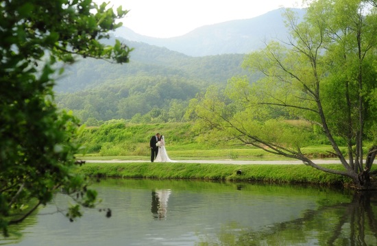 photo of Whitmeyer Photography
