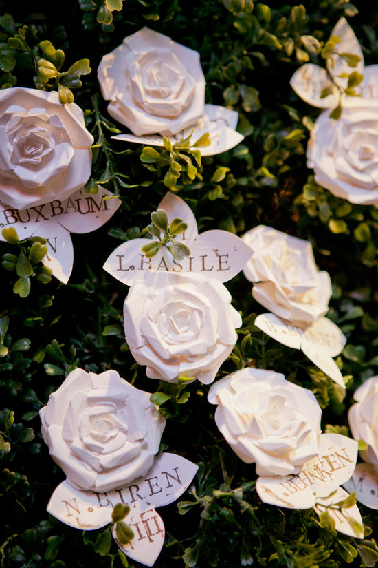 photo of Bohemian Bloom