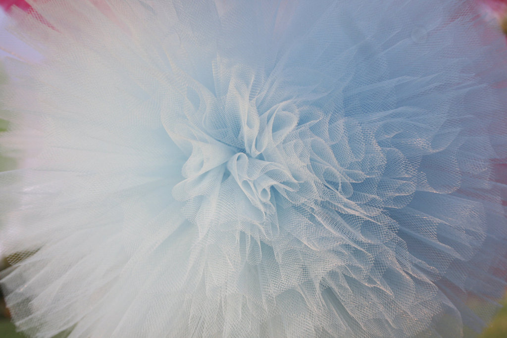 Something-blue-sheer-blue-pom-poms.full