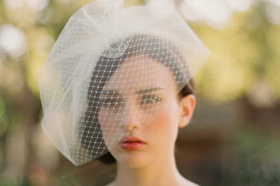 photo of Photo by Elizabeth Messina, Twigs & Honey bridal veil