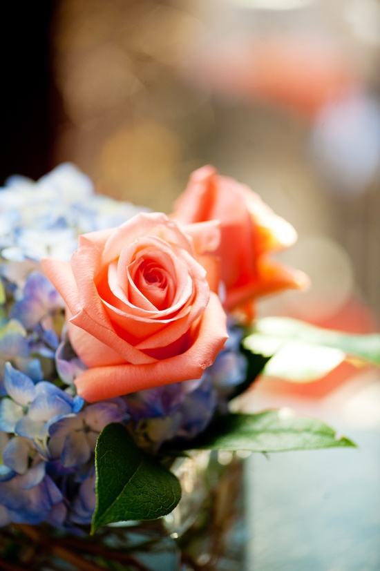 photo of So NOT Snooki's Wedding