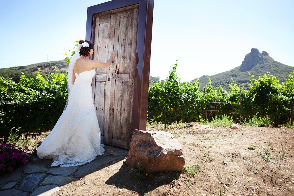 Creative-first-look-wedding-photo-outdoor-weddings-california-2.full