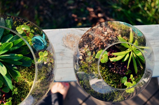 photo of 5 Mossy DIYs to Beautify Your Wedding