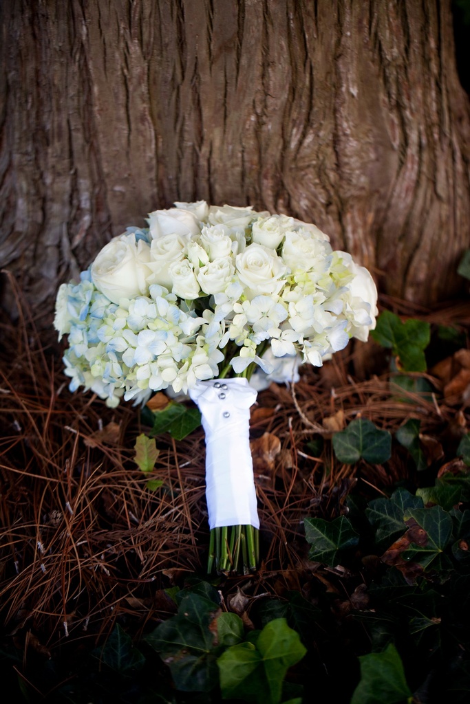 photo of Elegant Winery Wedding with a Cool Color Palette