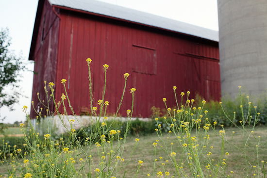 photo of Over the Vines Vineyard & Wine Barn