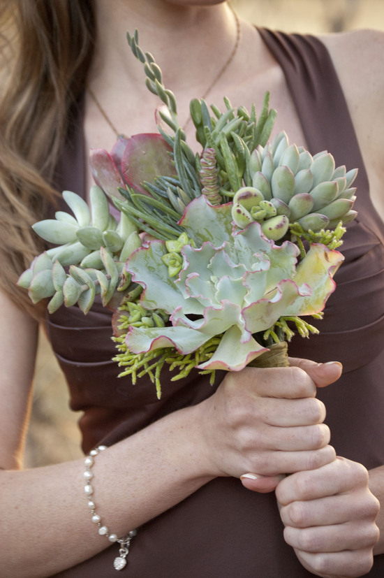 photo of Succulent by Design