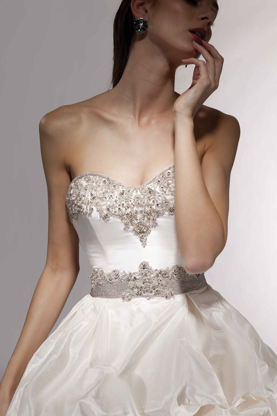 photo of Nine Divine Wedding Gowns by Victor Harper