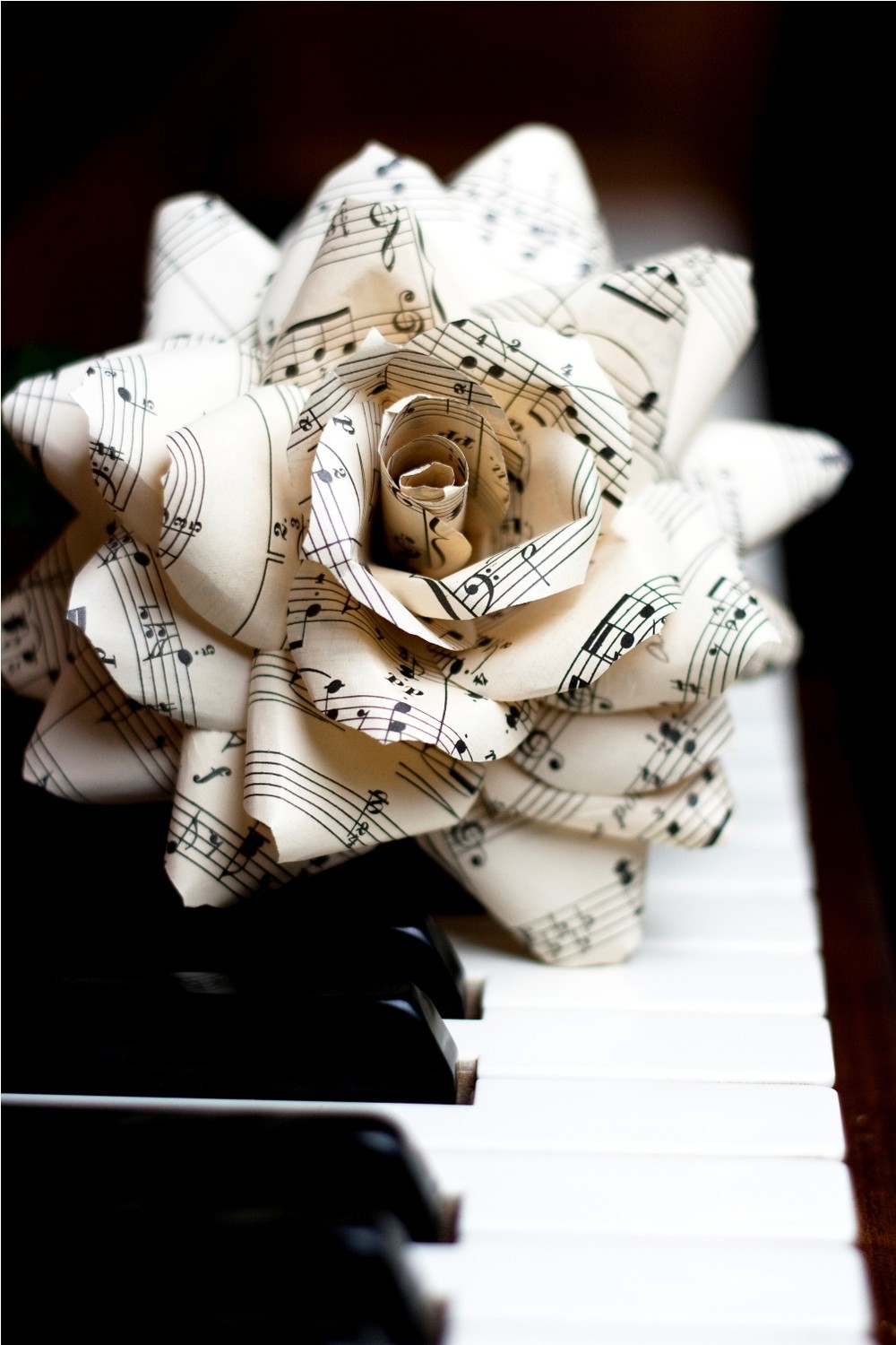 Buttercream-and-black-wedding-colors-elegant-weddings-sheet-music-rose.full