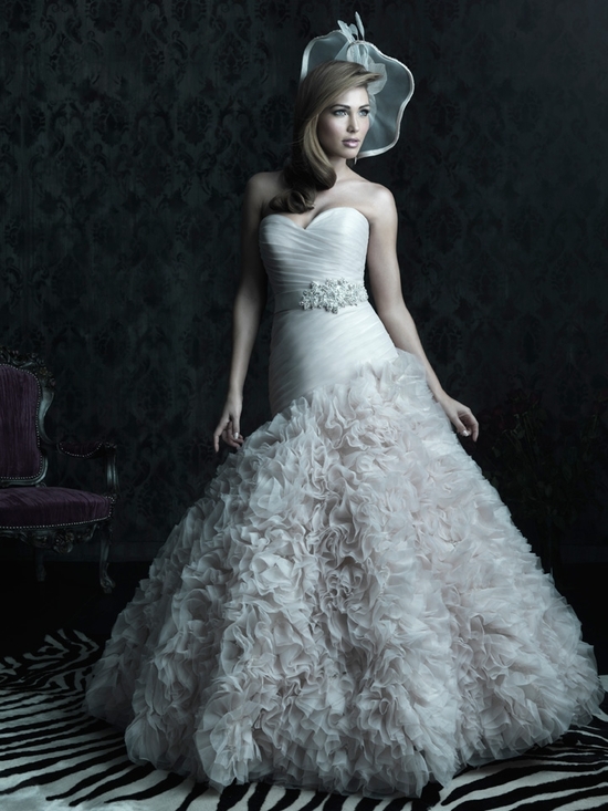 photo of Allure Couture