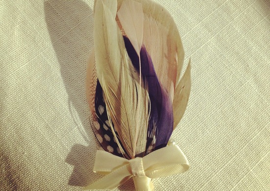 photo of Pomp and Plumage