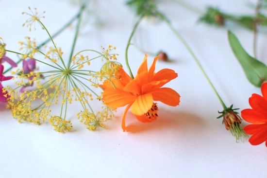 photo of Wedding Colors that Wow: Golden Marigold