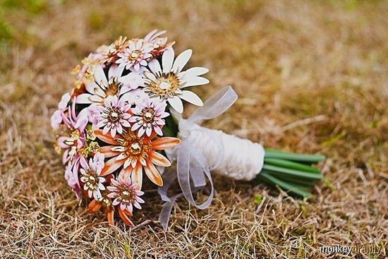 photo of Hairbows Wonderworld