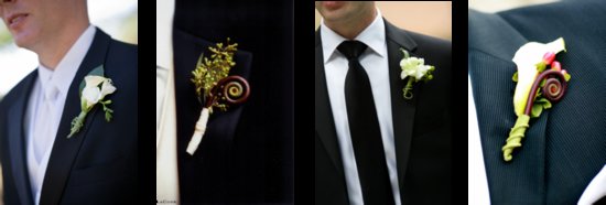 photo of Stylish Stems