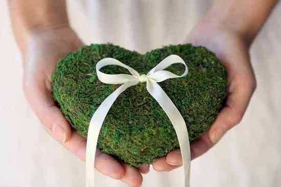 photo of Your Fairy Wed
