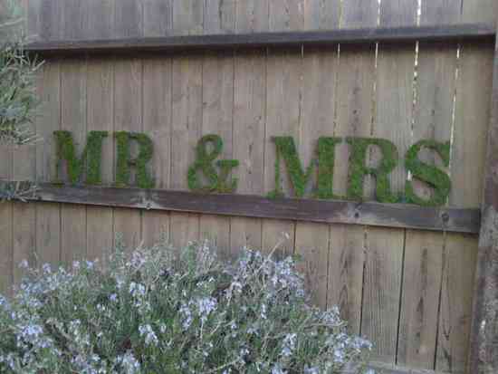 photo of 20 Eco-Chic Moss Wedding Pretties from Etsy
